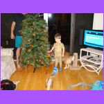 Putting on Ornament.jpg